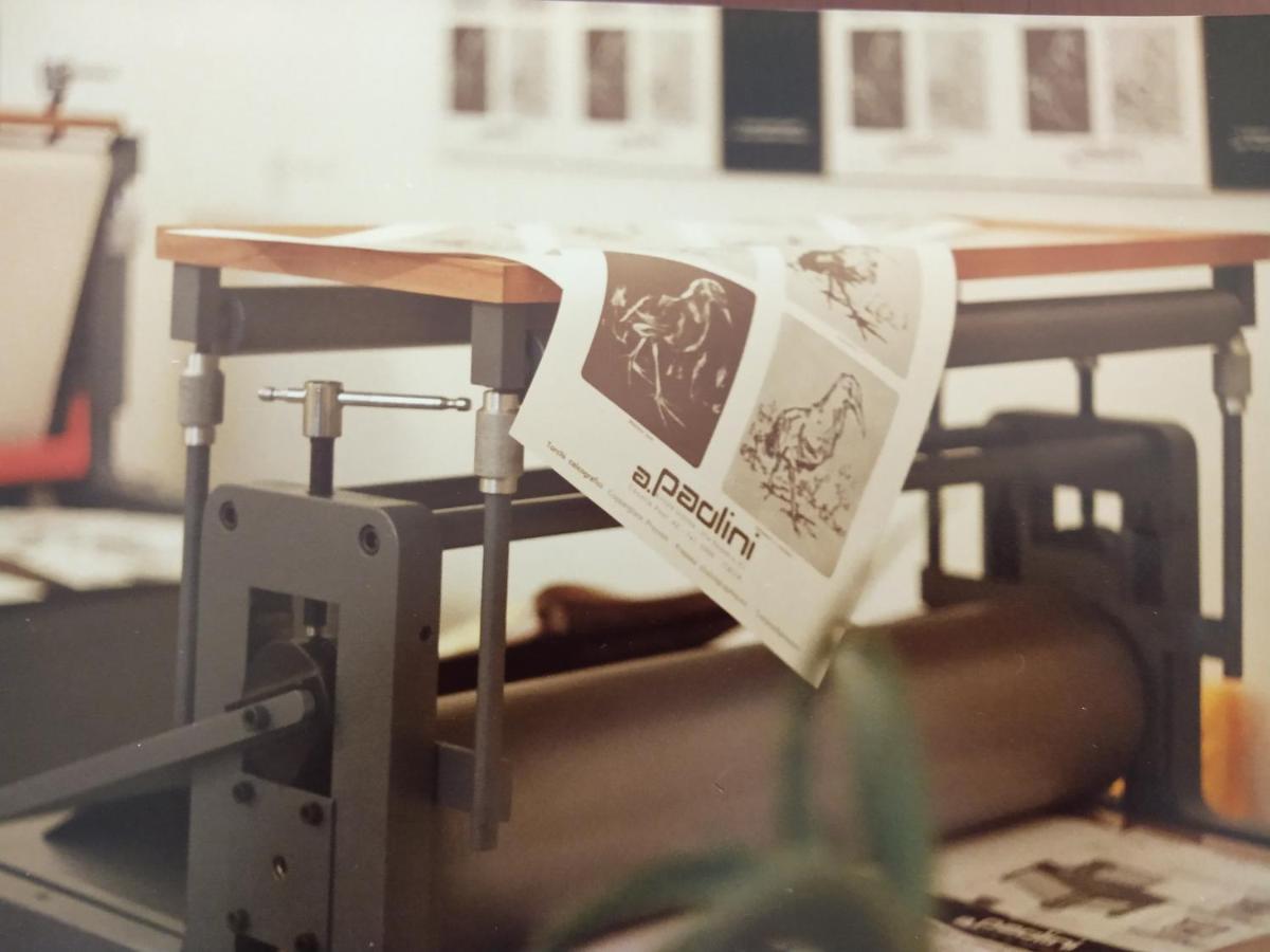 B&B Il Torchio-Urbino Dış mekan fotoğraf