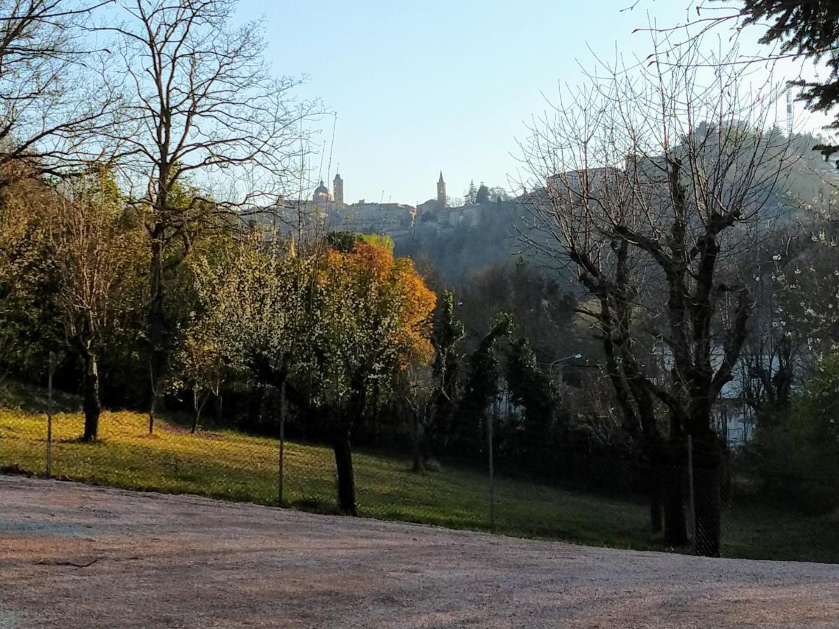B&B Il Torchio-Urbino Dış mekan fotoğraf